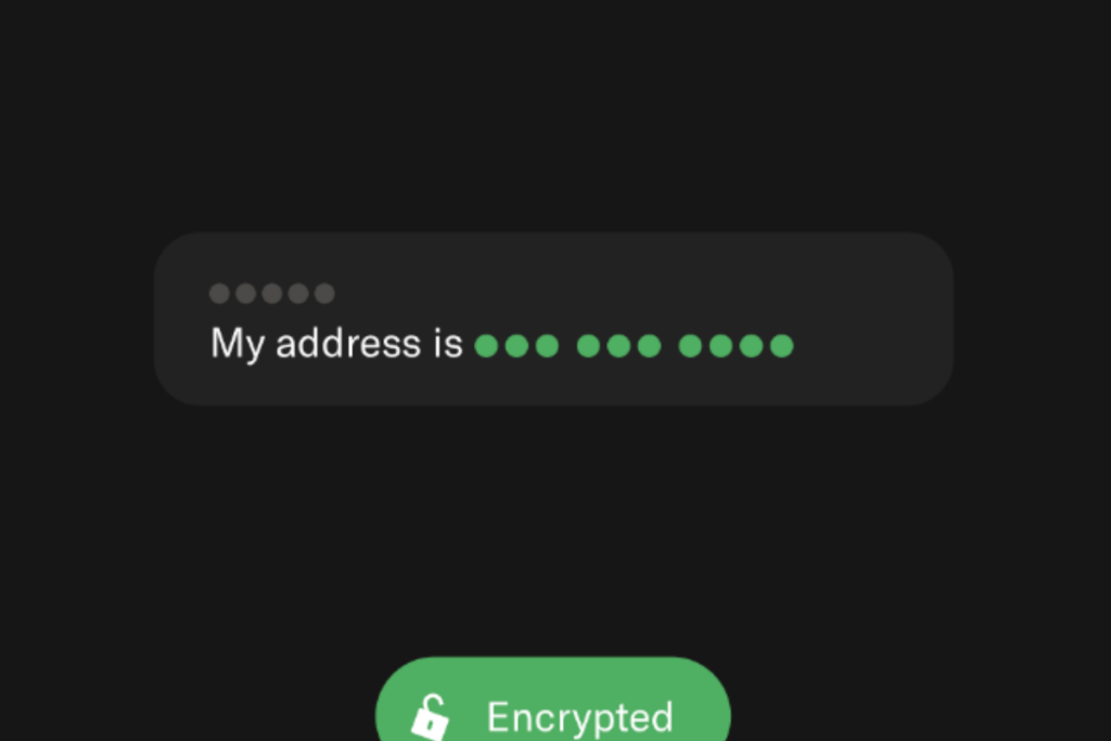 Sierra AI data protection